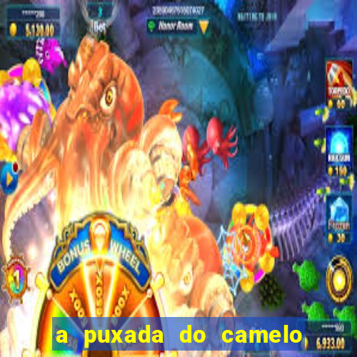 a puxada do camelo no jogo do bicho